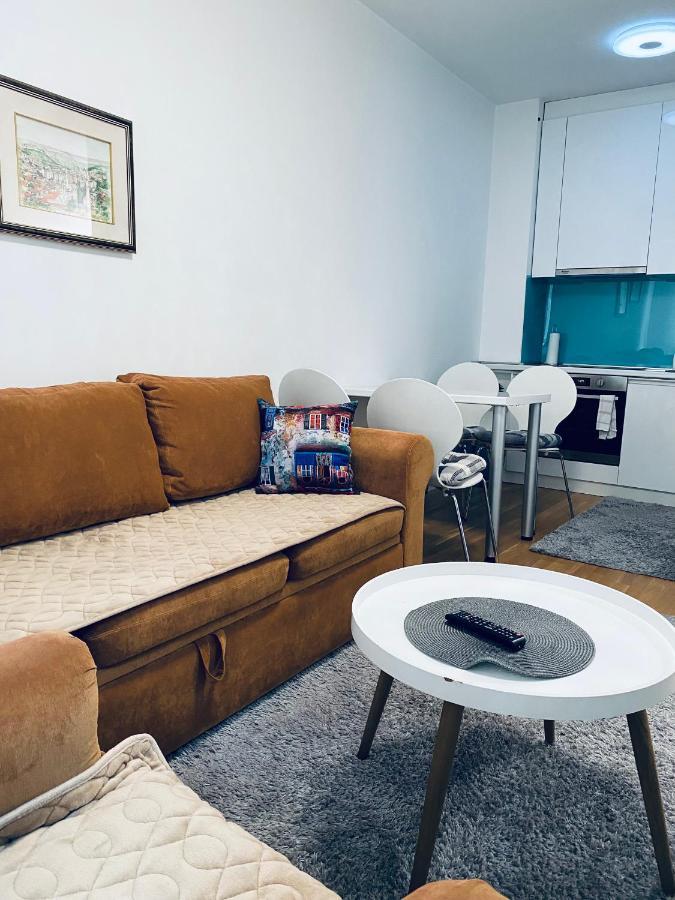 Apartman Otoka-Meandar 사라예보 외부 사진